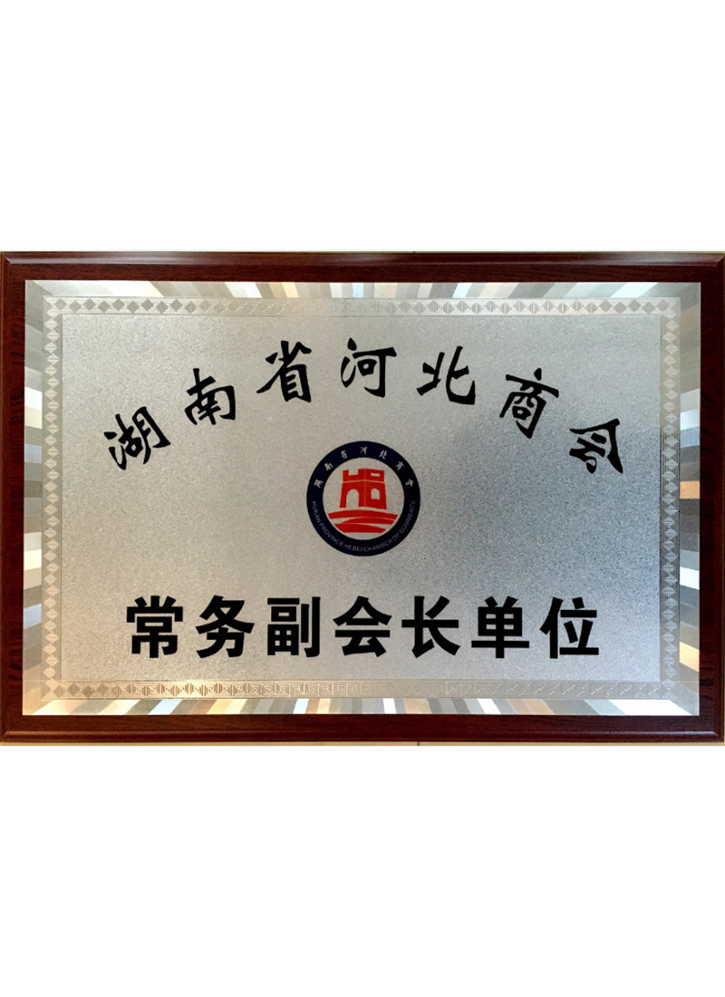 湖南省河北商会常务副会长单位.jpg